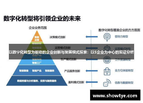以数字化转型为驱动的企业创新与发展模式探索：以S企业为中心的实证分析